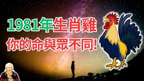 1981屬雞2024運勢|属鸡1981年出生的人2024年全年运程运势